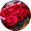 Matilda Lane profile picture