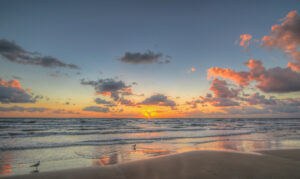 Seagulls at sunrise on South Padre Island Texas